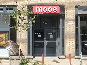 Gallery Moos